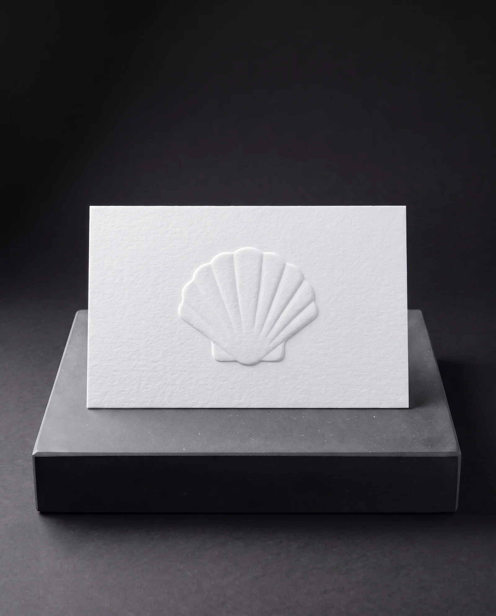 A low multi-level sculpted emboss of a shell in white cotton.