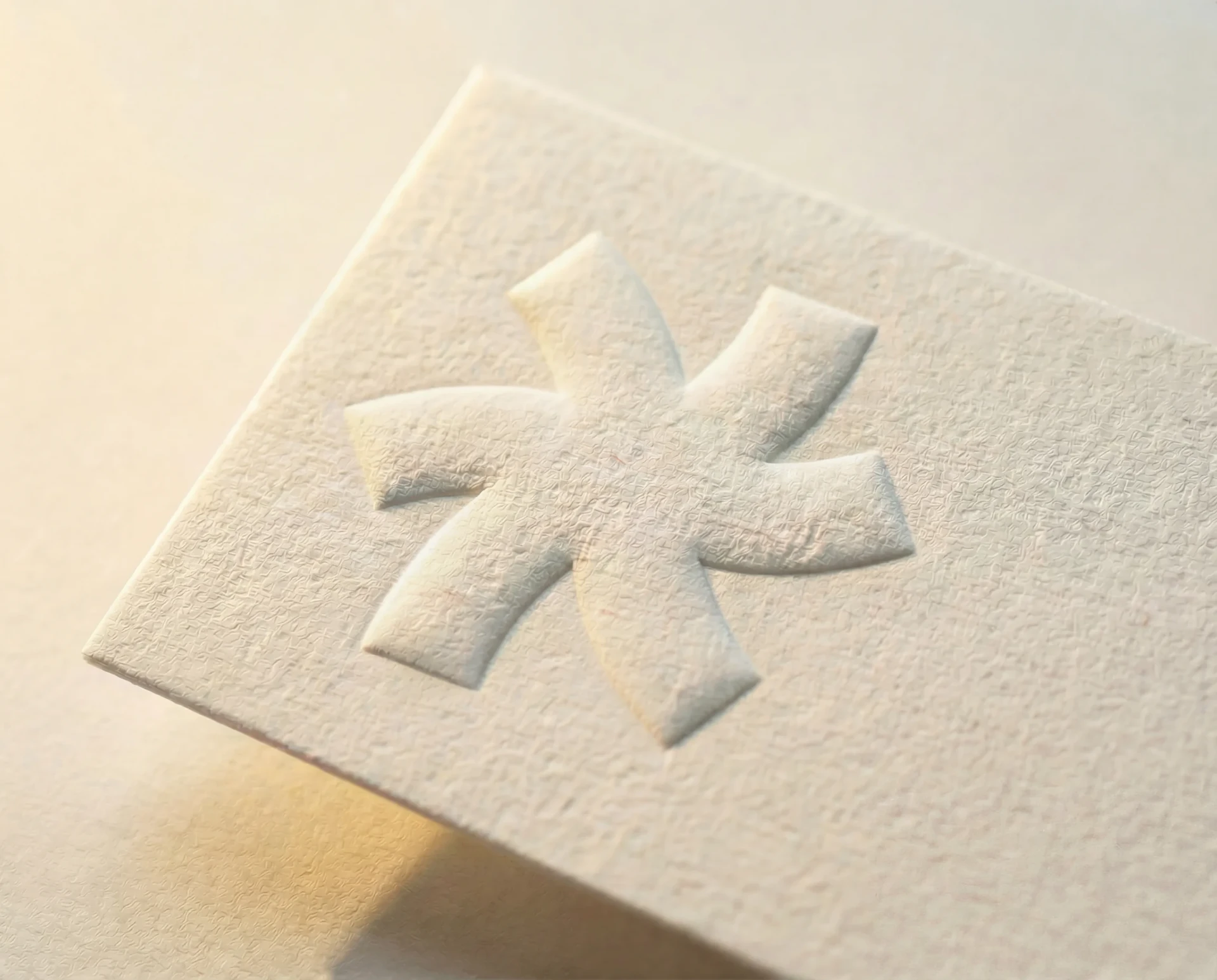 Blind emboss on white cotton