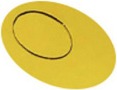 101-9 foil chip