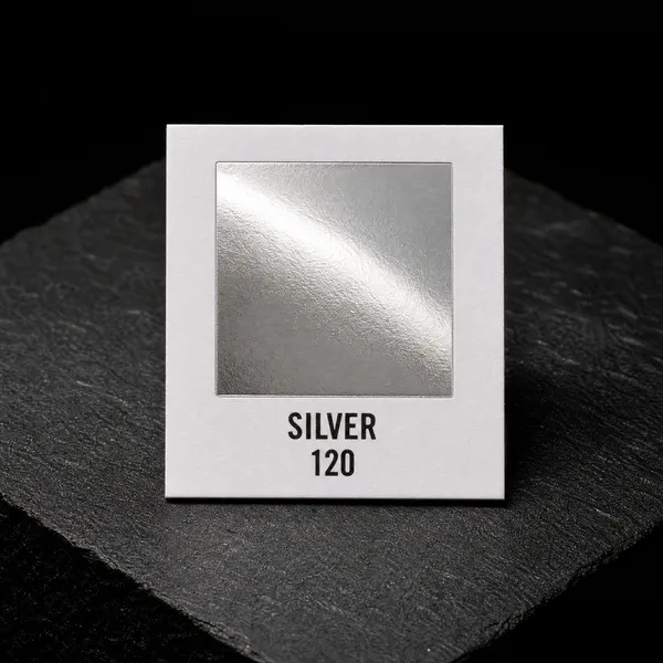 Silver 120 foil chip photographed on slate
