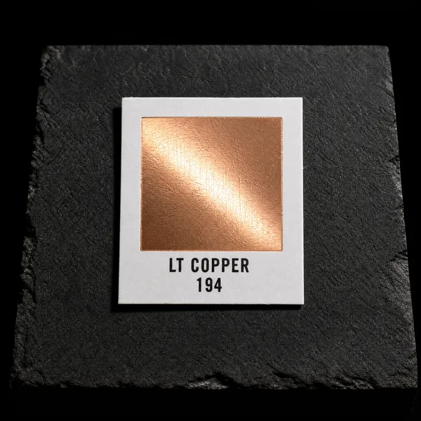 Light Copper 194 foil chip photographed on slate