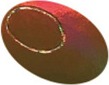 CHENHUI L1-004A foil stamped on a test card showing fine-line rules and a halftone ramp