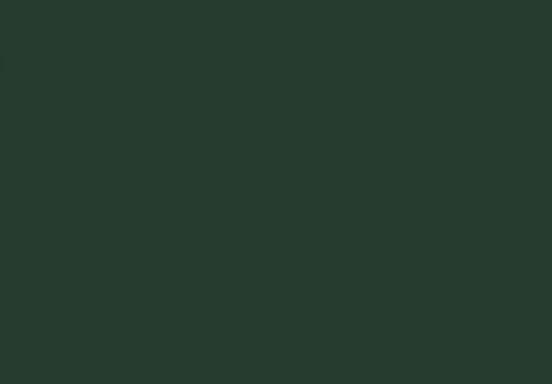 51281 foil chip