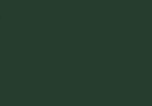 51281 foil chip