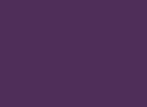 61216 foil chip