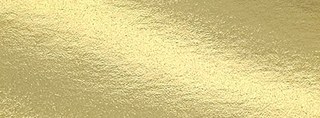131 foil chip