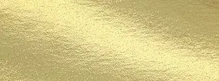131 foil chip