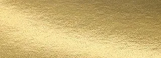 133 foil chip