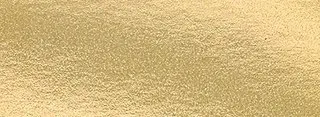137 foil chip
